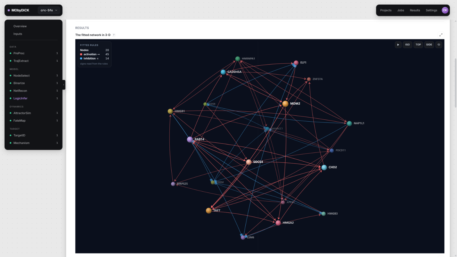 MObyDiCK workbench showing the fitted gene-regulatory network in 3-D: 20 nodes, 45 activation edges and 14 inhibition edges